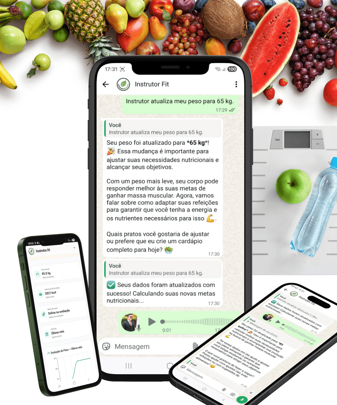Uso do Instrutor Fit no WhatsApp
