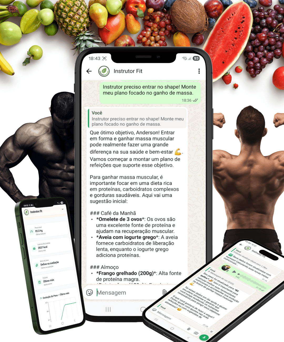 Uso do Instrutor Fit no WhatsApp